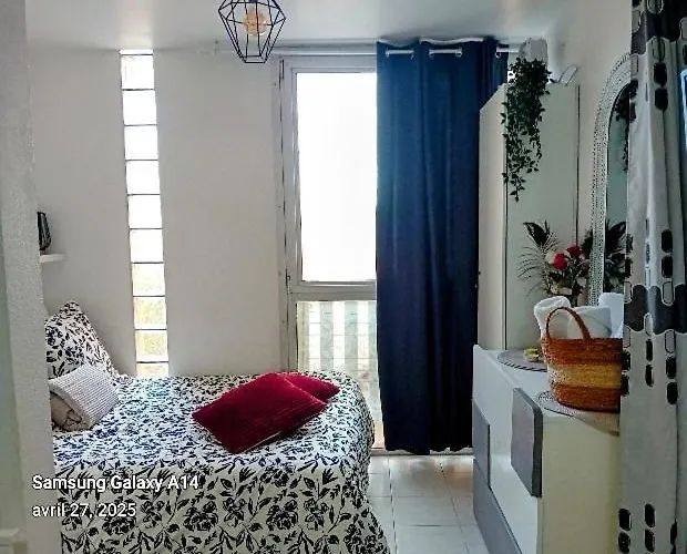 Au Soleil Avec Piscine A 150m De La - Barcares Apartament *